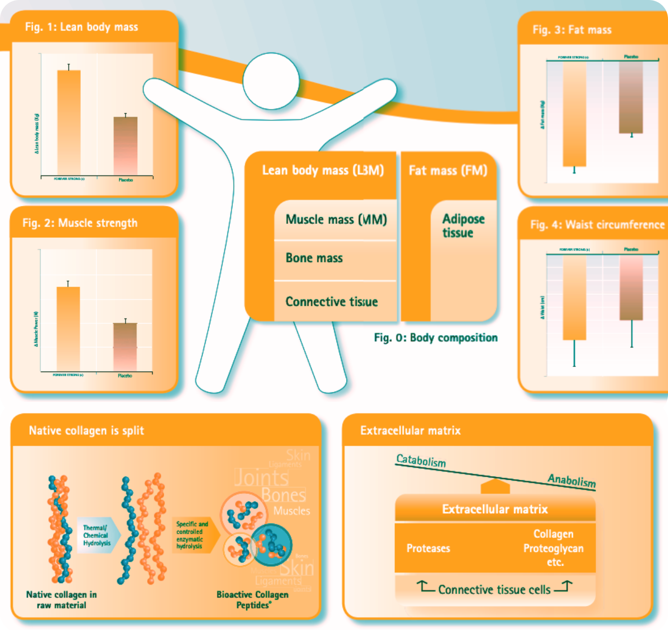 Vesantech Forever Strong 300g popis 3